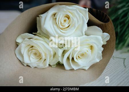 three white roses on a white background. Cream roses on a cream colored backdrop. Stock Photo