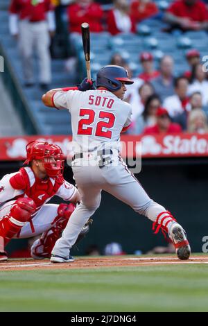 Washington Nationals' Hitting Coach Kevin Long on Juan Soto and