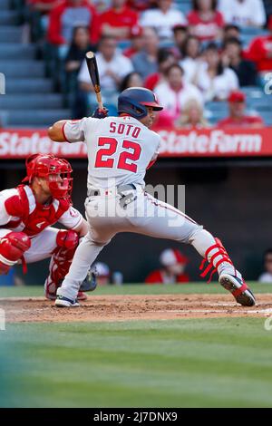 Washington Nationals' Hitting Coach Kevin Long on Juan Soto and