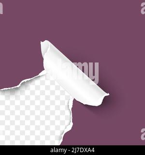 Paper corner torn hole corner of color paper sheet with paper curl isolated on transparent background realistic vector illustration Stock Vector