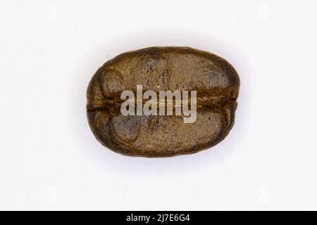 Coffee bean. Brown coffee bean isolated on white background. Coffee bean for making aromatic Arabica, Robusta, Excelsa, and Liberica type coffees. Del Stock Photo