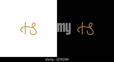 modern and unique handwritten letter HS initials logo design Stock Vector