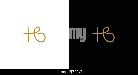 modern and unique handwritten letter HB initials logo design Stock Vector