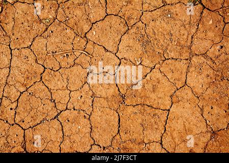 Brown dry soil background. Beautiful dry soil. Close-up. Background, texture Stock Photo