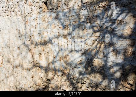 Old  bricks wall pattern. Medieval stone wall.  Background, texture Stock Photo