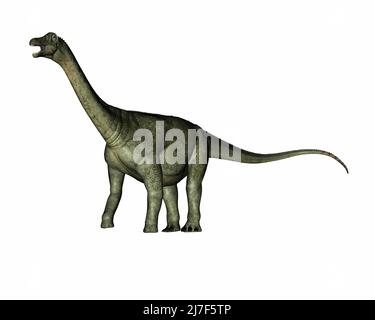 Saltasaurus dinosaur roaring and walking - 3D render Stock Photo