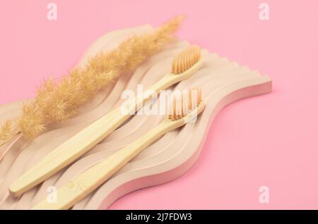 Wooden toothbrushes on a plaster podium with a sprig of pompous grass with selective focus. Eco-friendly personal care products. Oral care Stock Photo