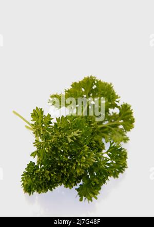 Fresh parsley stalks on white background May 2022 Stock Photo