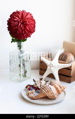 One large red chrysanthemum stands in a transparent glass vase. Nearby is a plate with seashells and a wooden box with coconut and white starfish. Stock Photo