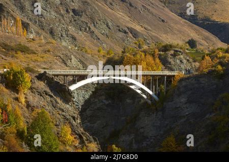 Autumn Colours and Bridge over Kawarau River, Gibbston Valley, Kawarau Gorge, South Island, New Zealand Stock Photo