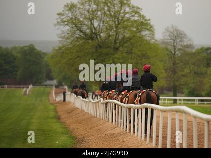 Aidan O'Brien trained horses are exercised at Ballydoyle racehorse ...