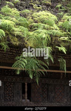 Vegetation on the roof of a granary built in traditional tongkonan architecture in Kete Kesu village, North Toraja, South Sulawesi, Indonesia. Stock Photo