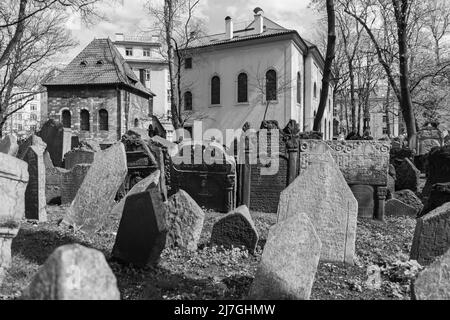 Old tombstones at Old Jewish cemetery, Jewish quarter, Prague Stock Photo