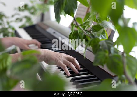 Women's hands play the piano. The hands froze on the keys of the synthesizer. Home music making, relaxation. Biophilic interior design. Lots of housep Stock Photo