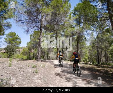 Mountain bikers in Laguna de Ruidera nature park. Castile La Mancha, Spain. High quality photo Stock Photo