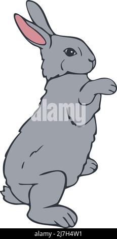 Vector illustration of bunny standing on hind legs. Hand drawn rabbit. Stock Vector