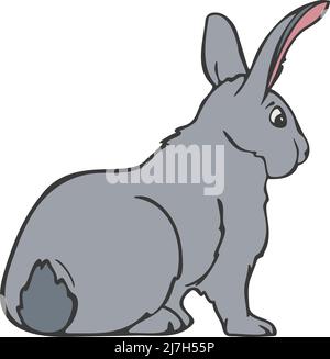 Vector illustration of bunny. Hand drawn rabbit colored and depicted by a line. Stock Vector