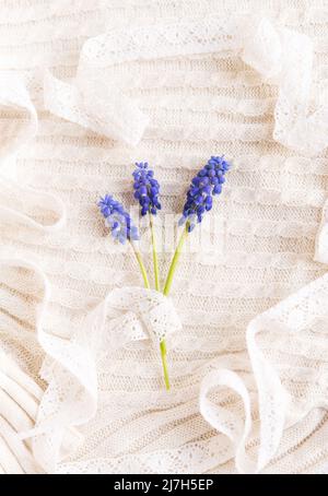Three twigs with small purple flowers bellflowers on a delicate pastel knitted background Stock Photo