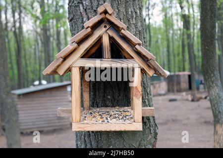 A wooden birdhouse in the shape of a house with a roof hangs on a tree with seeds inside. Bird feeder in the park, taking care of the birds Stock Photo
