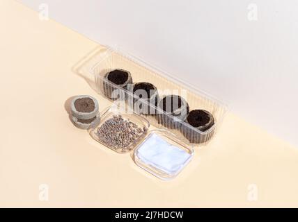 Germinating and soaking radish seeds in a napkin. View from above Stock Photo