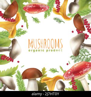 Decorative square frame background poster of wild forest mushrooms edible and poisonous with leaves realistic vector illustration Stock Vector