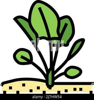plant spinach growing color icon vector illustration Stock Vector Image ...