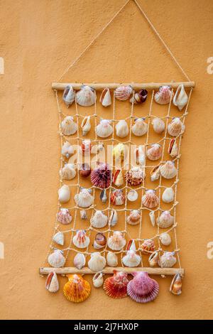 Decorative colorful handmade wall hanging display of seashells on netting with plaster wall behind. Stock Photo