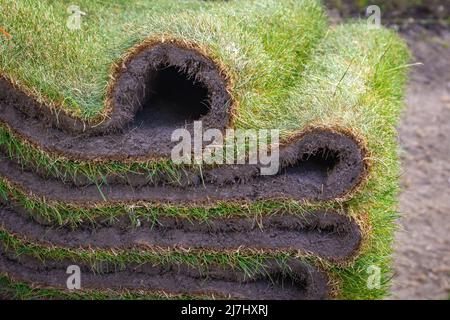 Close up of fresh grass carpet roll Stock Photo