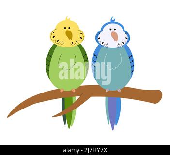 Cute couple of budgies sitting on a branch Stock Vector