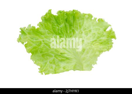 Lettuce. Salad leaf isolated on white background with clipping path Stock Photo