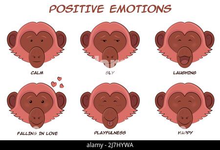 Set of cartoon monkeys with positive emotions Stock Vector