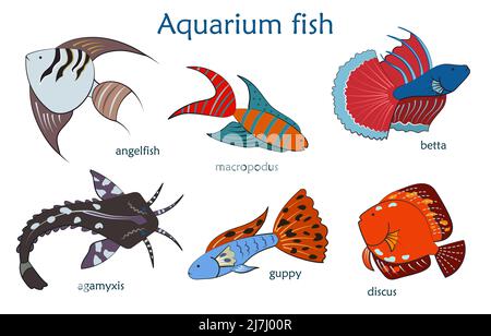 Set with cute and colorful aquarium fish. Stock Vector