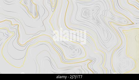 Luxury golden topographic map background on gray background Stock Vector