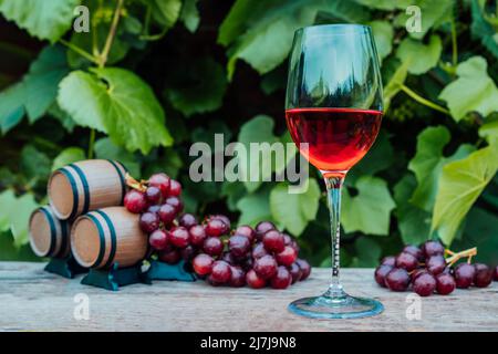 Winery concept. Glass of red wine with miniature wine barrels on the wooden table with grape berries on background of vineyards. Wine tasting, Degusta Stock Photo