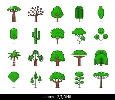 Green tropical trees icons. Beach, jungle forest and park trees isolated vector symbols. Palms garden with oak, baobab and pine or cactus, african rainforest yucca and exotic coconut palm tree Stock Vector