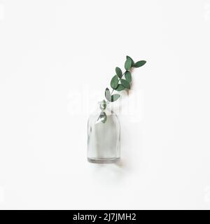 Green eucalyptus leaves in glass vase isolated on white background. top view, copy space Stock Photo