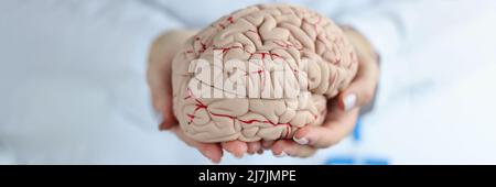 Doctor holding artificial model of human brain closeup Stock Photo