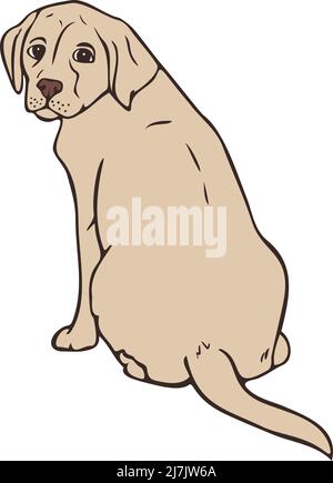 Vector illustration of dog colored and depicted by a line. Hand drawn labrador. Stock Vector