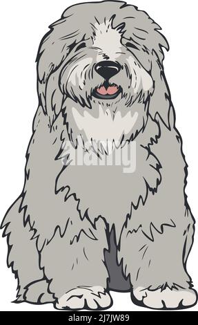 Vector illustration of bobtail. Dog colored and depicted by a line. Stock Vector