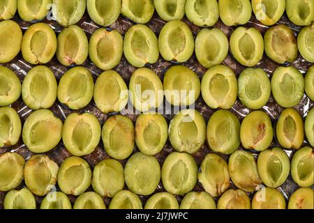 Sliced plums before home freezing. High resolution photo. Full depth of field. Stock Photo