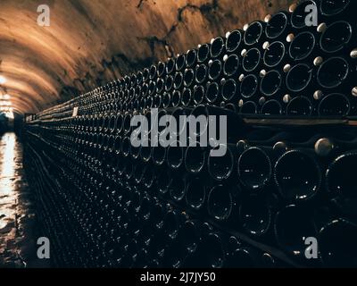 Many glass bottles with wine in underground cellar in wine factory. Stock Photo