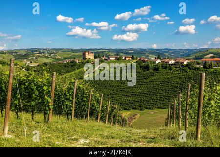 Green vineyards on the hills as small town under blue sky on background in Piedmont, Northern Italy. Stock Photo