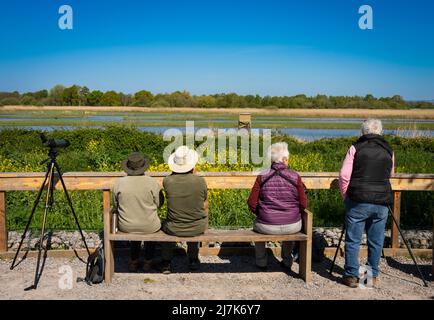 A group of birdwatchers view birds in a wetland at Ham Wall RSPB nature reserve, Somerset Stock Photo