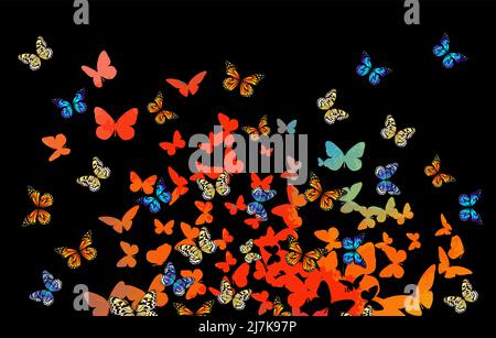 Abstract multicolored butterflies. On a black background. Vector illustration Stock Vector