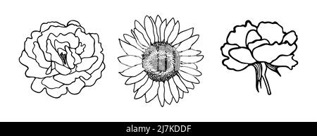 Set of hand drawn flowers. Black contours of a flower on a white background. Sunflower, rose.Doodle flower silhouettes.Black outline. Vector Stock Vector