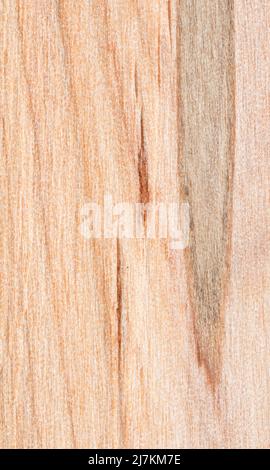 Full frame of abstract background with textured piece of alder plank with light brown color and lines with scratches in light room Stock Photo