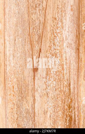Full frame of abstract background with textured piece of alder plank with light brown color and lines with scratches in light room Stock Photo