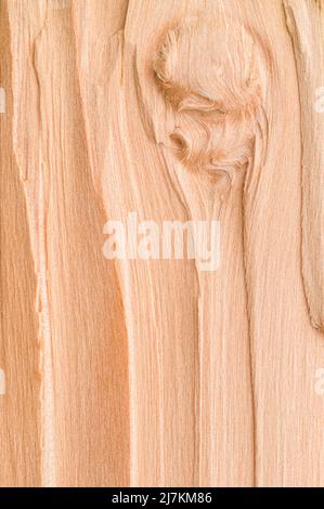 Full frame of abstract background with textured piece of hemlock plank with light brown color and lines with scratches in light room Stock Photo