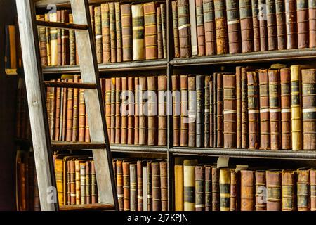 Abundance of various aged books with hardcovers placed on dark bookshelves near long wooden ladder in light library of university Stock Photo