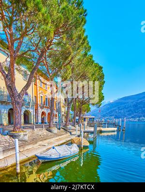 The tall green pine trees grow along embankment of Lake Lugano in front of the colorful houses of Morcote, Switzerland Stock Photo